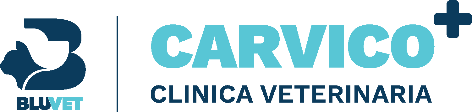 cropped Carvico BV.png